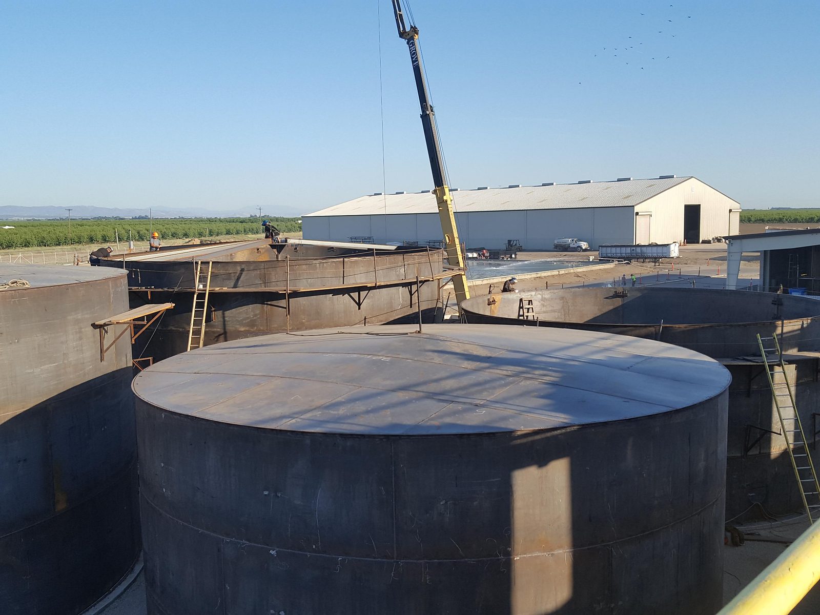Adams Vegetable Oil — photo 8